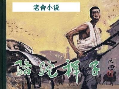 猫咪网站永久入口